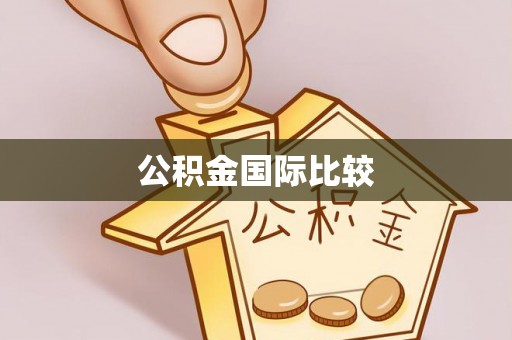 威信公积金国际比较