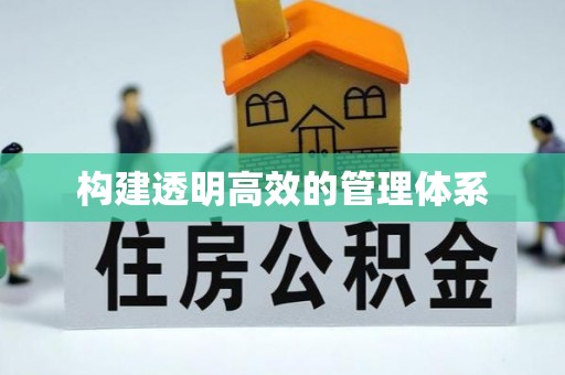 威信构建透明高效的管理体系